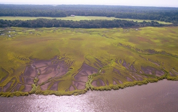 Salt marshes on the Georgia coast.